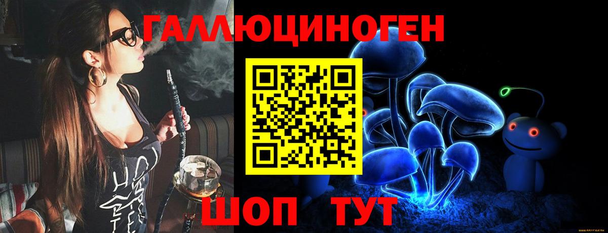 Псилоцибиновые грибы Psilocybe Реж