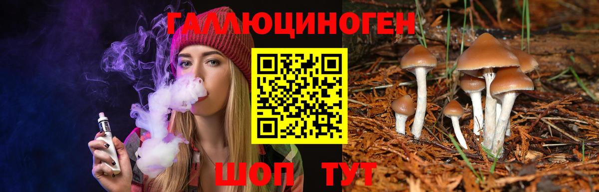 Галлюциногенные грибы мухоморы  цена наркотик  Реж  Вход с VPN 